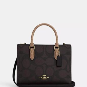 Coach Brown Maggie Small Tote Bag In Blocked Signature