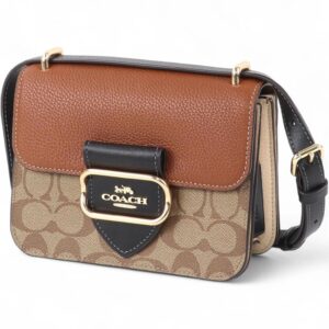 COACH Morgan Square Crossbody Bag In Colorblock Signature