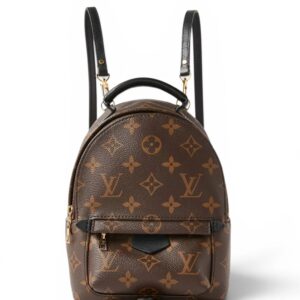 Louis Vuitton Palm Springs Mini backpack